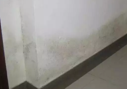 ������˵����ҷ�ˮ߀�Ǖ�����