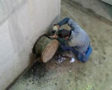 ��θ��õ��x���ˮ��©���̷�����